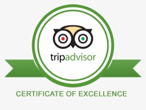 Trip Advisor - Recommended On Tripadvisor Vector
