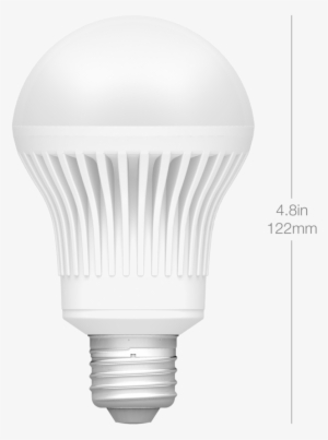 Dimensions A19 Front - Incandescent Light Bulb