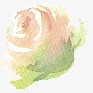 Hand Painted A Champagne Rose Png Transparent - Portable Network Graphics