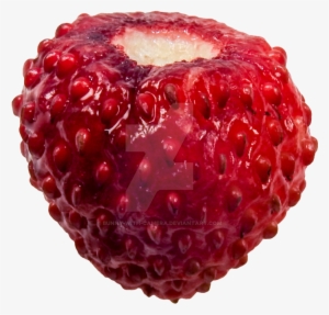 Strawberries Clipart Watercolor - Raspberry