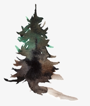 This Graphics Is Creative Pine Transparent Watercolor - Watercolor Painting