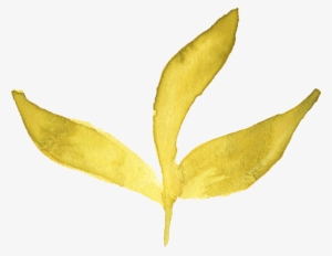 Free Download - Watercolor Yellow Leaves Png