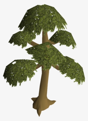 Yew Tree - Her I Only Date Bad Boys