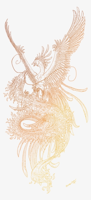 And Dragon Lineart By Sunima Deviantart Com - Drawing Phoenix