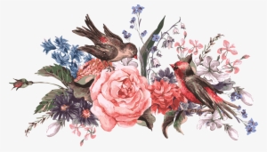 My Design / Flowers & Birds - Flower Png Vector Free