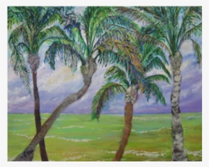 Ella Chabot Shot By Ella Photoart, L - Attalea Speciosa