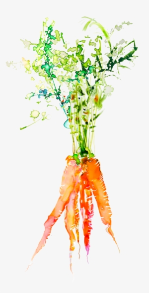 Carrots Png Watercolor Vector Black And White - Watercolor Veggies