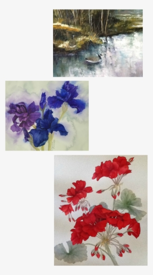 And Enjoy The Beautiful Flowers And Ponds - Bougainvillea