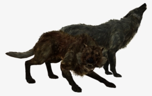 Tesv Wolves - Skyrim Wolf