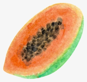 This Graphics Is Watercolor Hand Painted Half Papaytransparent - Fruit