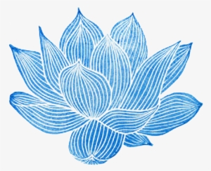 Lotus Flower Transparent