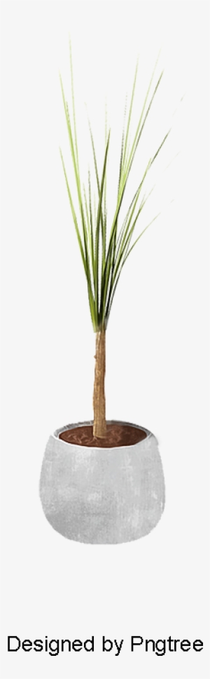 Plants, Potted, Plants, Small Potted Plants Png And - Grass