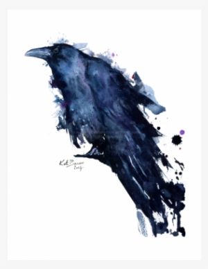 Raven Watercolor