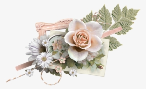 0 B91aa 8b851e6 L - Death Flower Photo Png