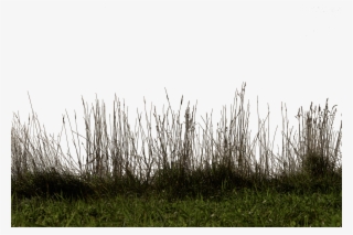 Grass And Soil Images Png Royalty Free Download - Portable Network Graphics