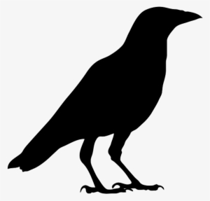 28 Collection Of Halloween Crow Clipart - Outline Picture Of Crow