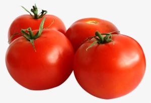 Tomato Tropic