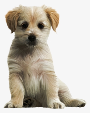 Cute Dog Png