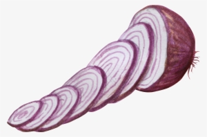 Jpg Royalty Free Download Vegetable Watercolor Painting - Cut Vegetable Painting