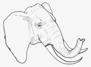 Elephant Line Art Icons Png - รูป ช้าง ลาย เส้น