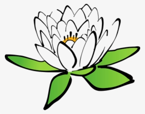 Lotus Flower Water Lily White Water Lily B - Cartoon Flower Transparent Background