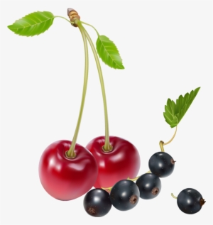 Cherry Clipart Blueberry