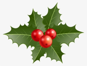 Holly Png
