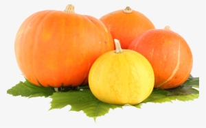 Pumpkin Png Image - Pumpkin Png