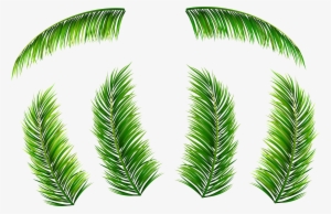 Palm Leaf Png