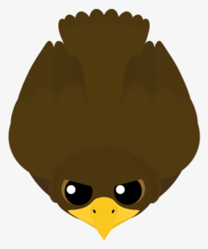 Eagle - Wiki