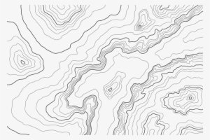 The Spotlight Series