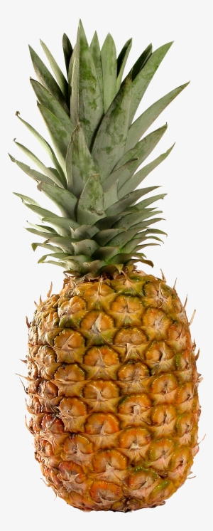 Pineapple Png Image, Free Download