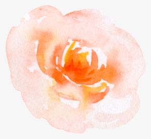 This Graphics Is Yellow Water Flower Cartoon Transparent