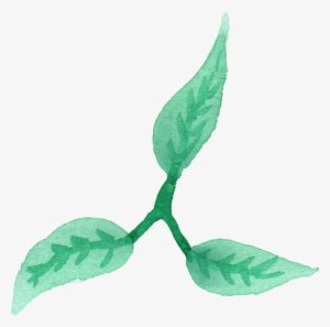 25 Watercolor Leaf Vol - Illustration