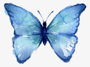 Click And Drag To Re-position The Image, If Desired - Watercolor Blue Butterfly Png