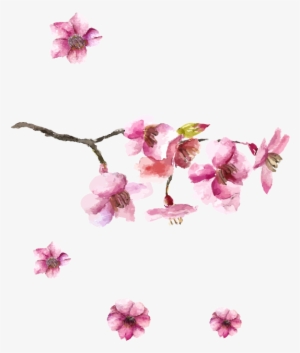 Japanese Art Cherry Blossom Drawing - Cherry Blossom Japan Art