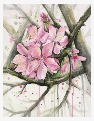 Click And Drag To Re-position The Image, If Desired - Cherry Blossom