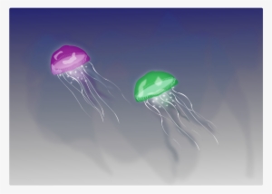 Report Abuse - Jellyfish