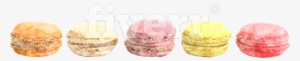 Macaroon