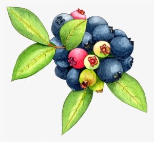 Berkeley Horticultural Nursery Berkeley Horticultural - Food