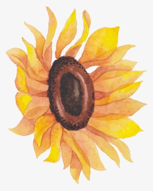 Sunflowers Png Watercolor Picture Transparent Stock - Sunflower Png