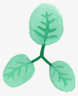 Leaf Png Transparent Vol Onlygfx Com - Watercolor Painting