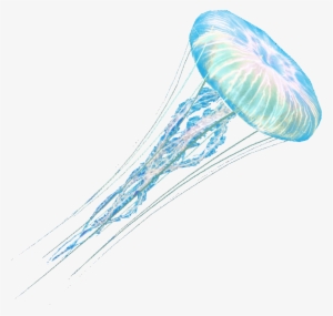 Ac4db - Jellyfish - Assassin's Creed