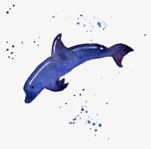 Transparent Whale Watercolor Png Download - Watercolor Sea Animals Transparent