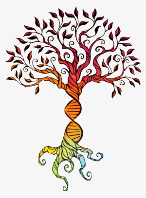 Treeoflife Watercolor Rainbow Dna Brelfie Rainbowbaby - Simple Oak Tree Drawing