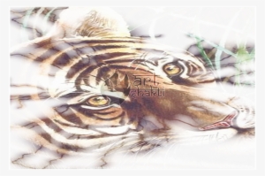 Tiger Glance Watercolour Painting Lightning Effect - Painting