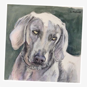 Jo Mcgrath's Interpretation Of The Above Photo's - Drawing