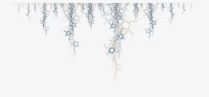 15 White Christmas Lights Png For Free Download On - String Lights Clipart Png