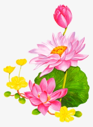 Friendship Flowers, Vintage Diy, Lotus - Png Background Lotus Vector Free
