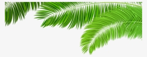 Branches Decoration Clip Art - Clip Art Palm Tree Leaves